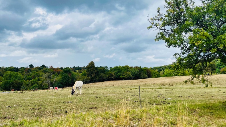 22-09-10 16-15-44 1937.jpeg